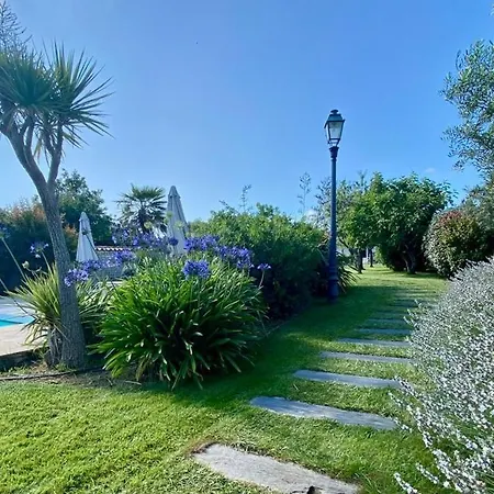 Flocon De Sel Sainte-Marie-de-Ré