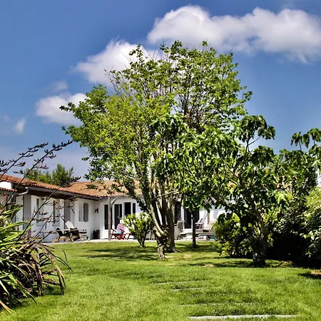 Dom wakacyjny Flocon De Sel Sainte-Marie-de-Ré